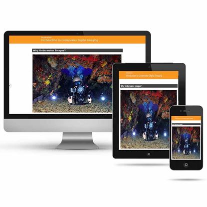 Picture of Underwater Digital Imaging Diver Specialty: Digital NES