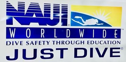 Picture of NAUI Just Dive Retangular Door Decal (12" x 24")