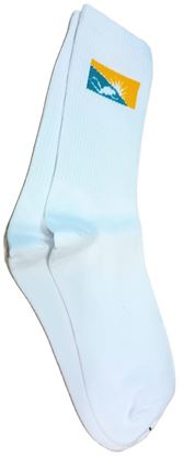 Picture of Sock Featuring The Diving logo