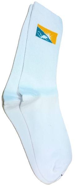 Picture of Sock Featuring The Diving logo