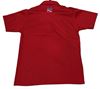 Picture of Polo Shirt - Course Director (Men)